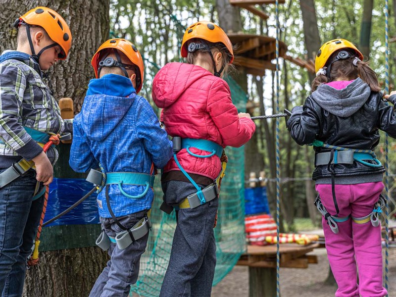 Un été bien&nbsp;occupé