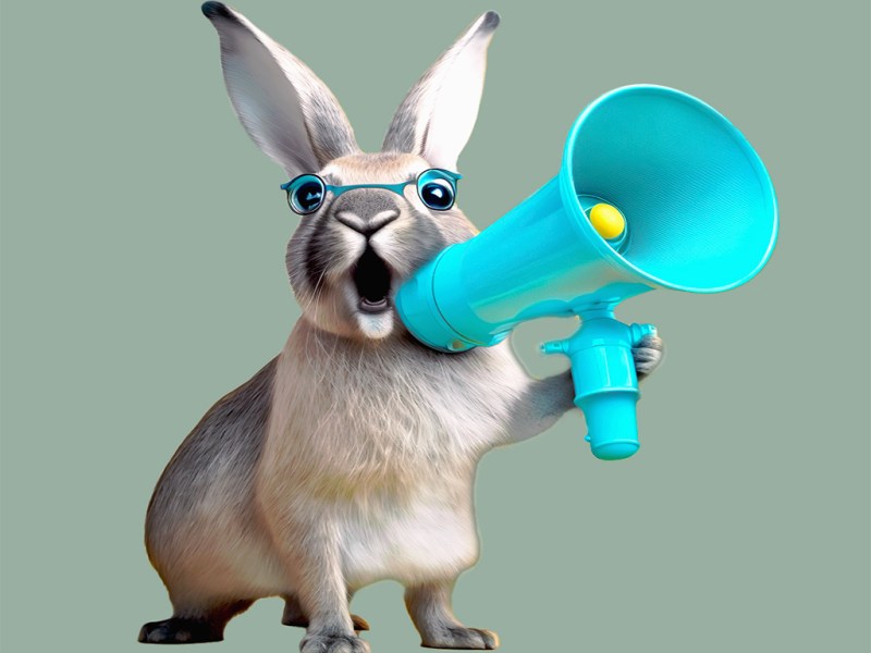 Quoi de neuf à La Maison de Frasnes&nbsp;?